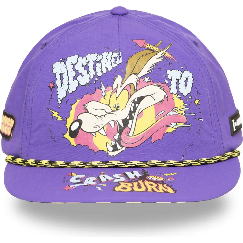 capslab-flat-brim-wile-e-coyote-loo13-dtcb-looney-tunes-purple-snapback-cap